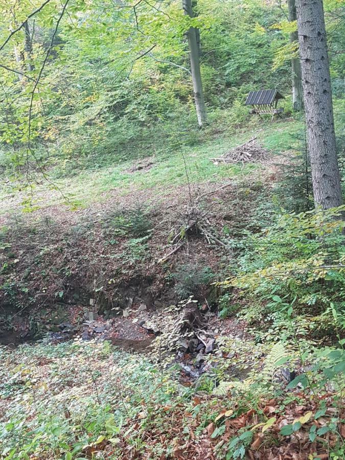Stas -Przy Szkole Nr 3 W Skawie Skawa ภายนอก รูปภาพ