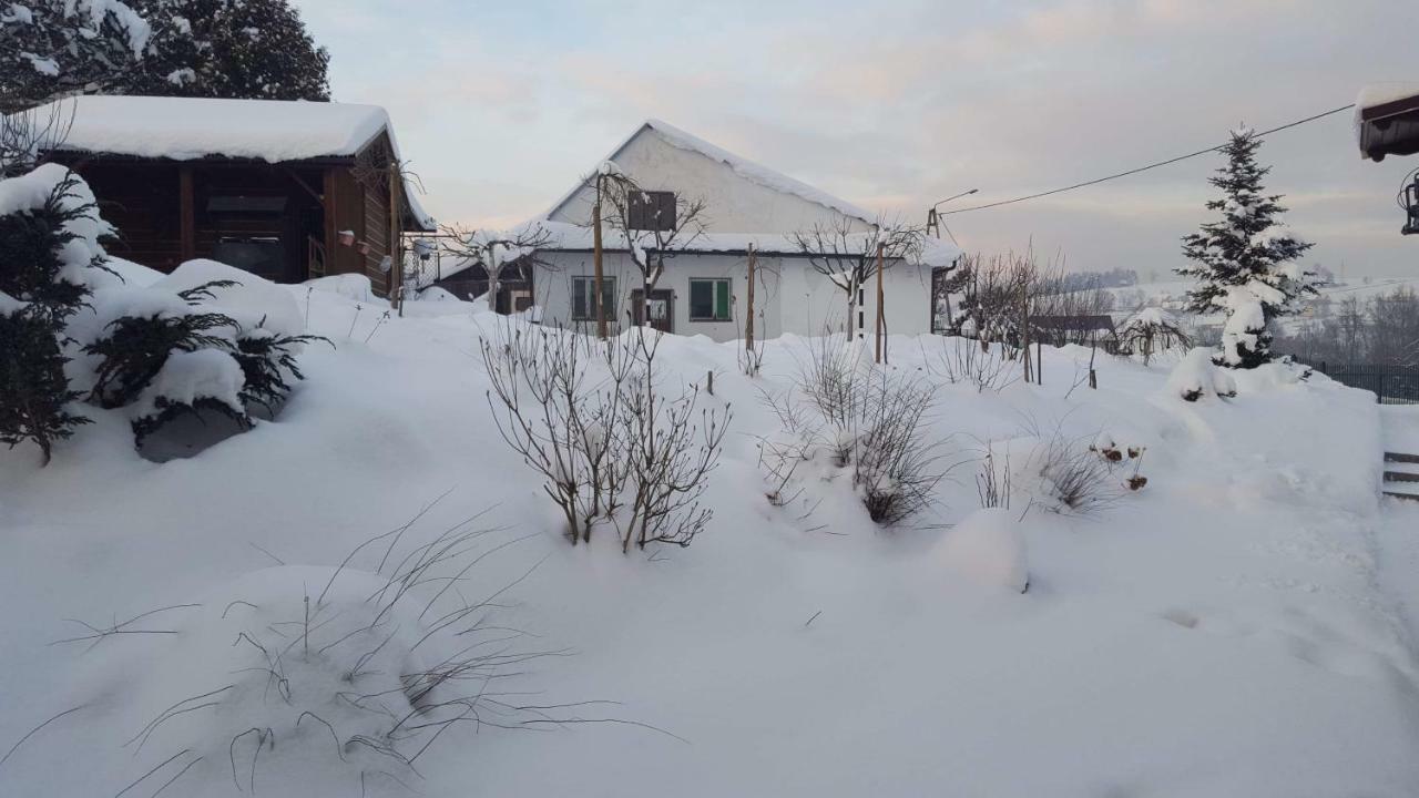 Stas -Przy Szkole Nr 3 W Skawie Skawa ภายนอก รูปภาพ