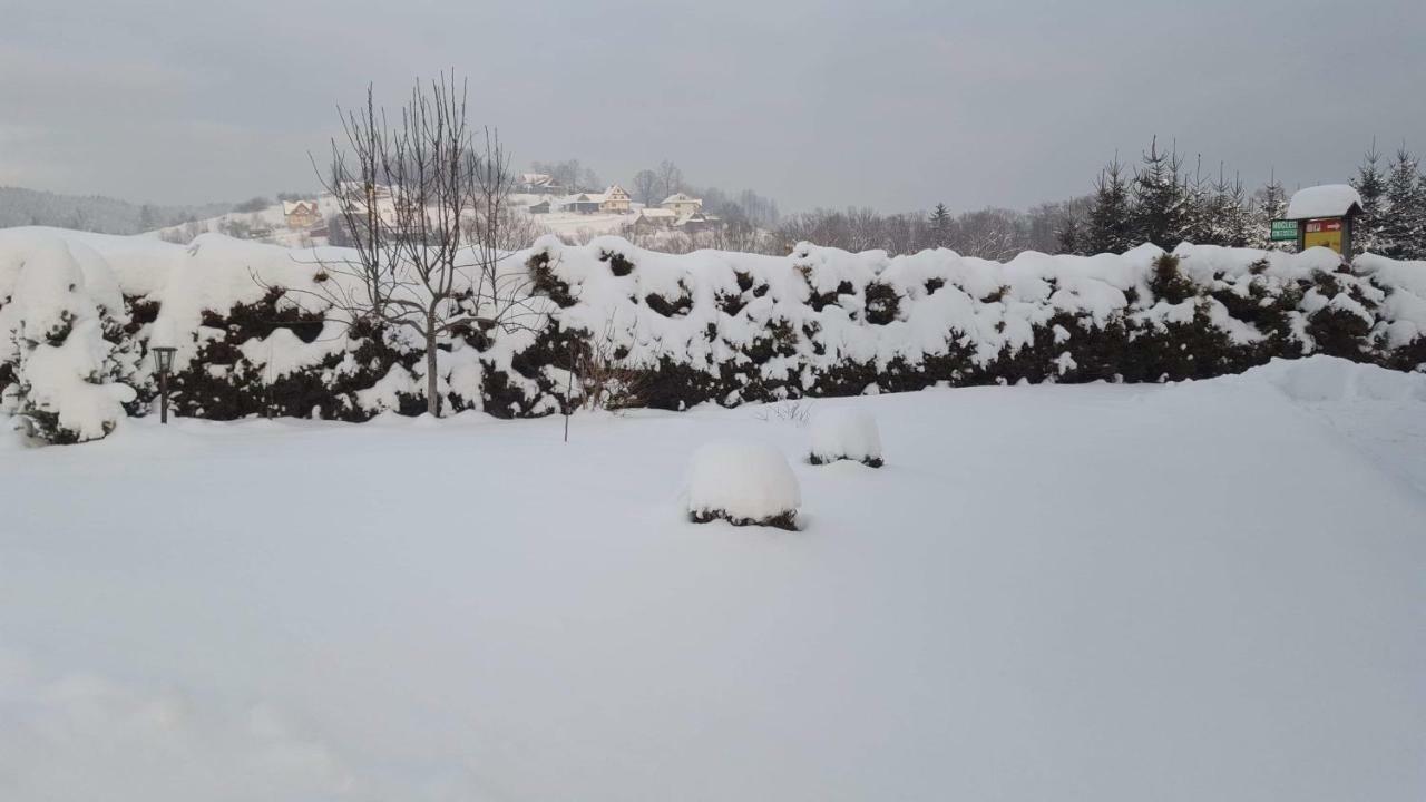 Stas -Przy Szkole Nr 3 W Skawie Skawa ภายนอก รูปภาพ