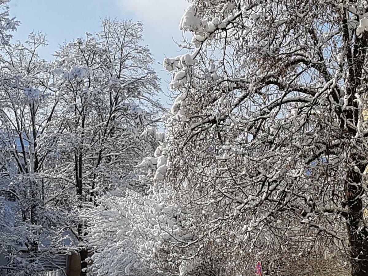 Stas -Przy Szkole Nr 3 W Skawie Skawa ภายนอก รูปภาพ